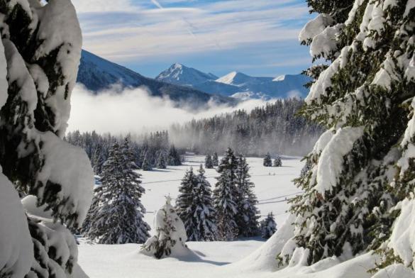 Le Flocon-Studio Cabine-Balcon 4-6 Pers A 100M Des Pistes Chamrousse Luaran gambar