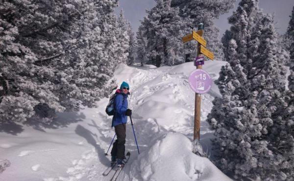 Le Flocon-Studio Cabine-Balcon 4-6 Pers A 100M Des Pistes Chamrousse Luaran gambar